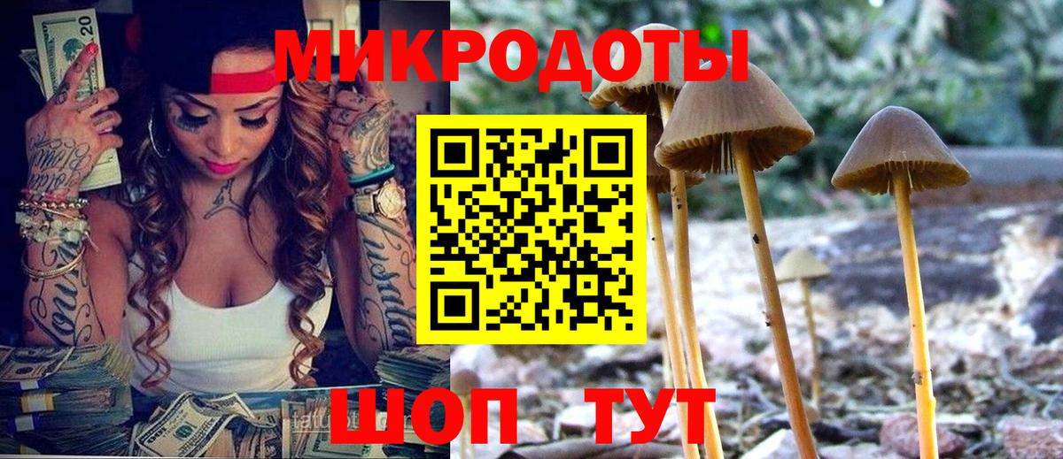 Псилоцибиновые грибы Cubensis  Вход с VPN  Карпинск 
